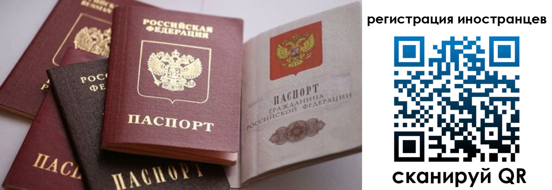 прописка штамп в Могочи