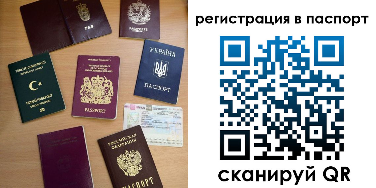 прописка поиск в Могочи